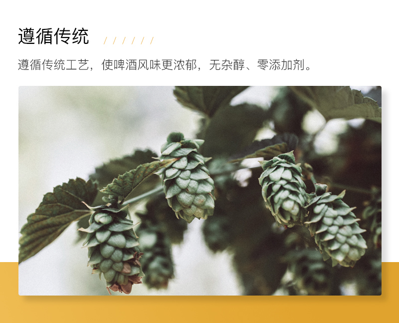 F PARTY锐马701全麦精酿啤酒（500ML）12瓶(图6)