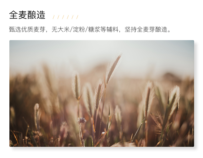 F PARTY锐马701全麦精酿啤酒（500ML）12瓶(图5)