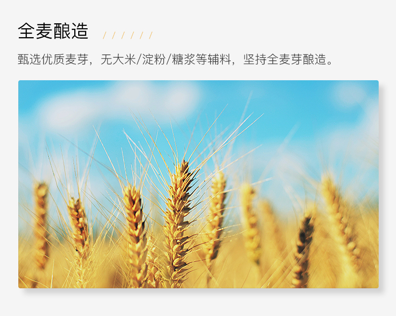 F PARTY锐马703比利时式精酿啤酒（500ML）12瓶装(图5)