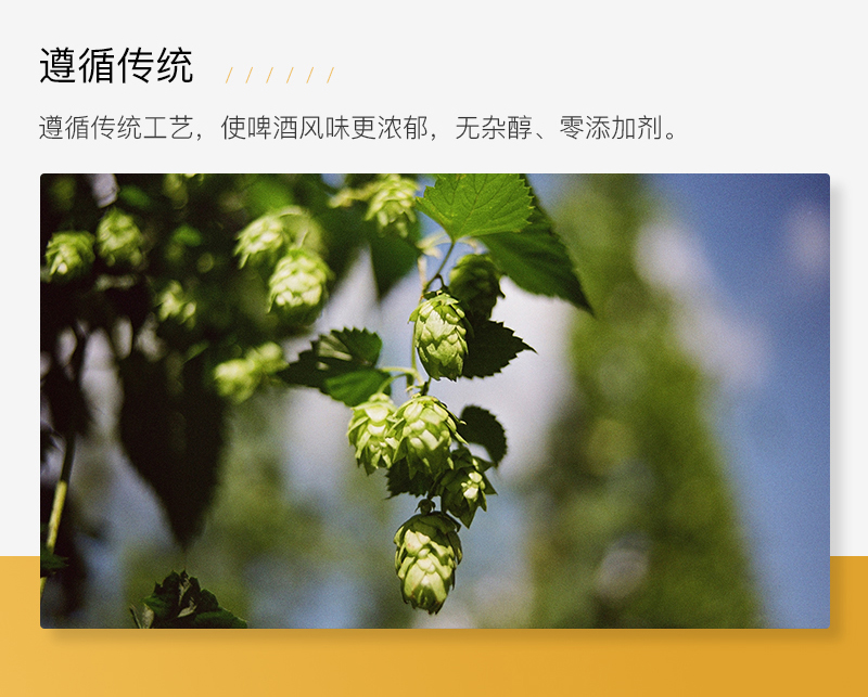 F PARTY锐马703比利时式精酿啤酒（500ML）12瓶装(图6)