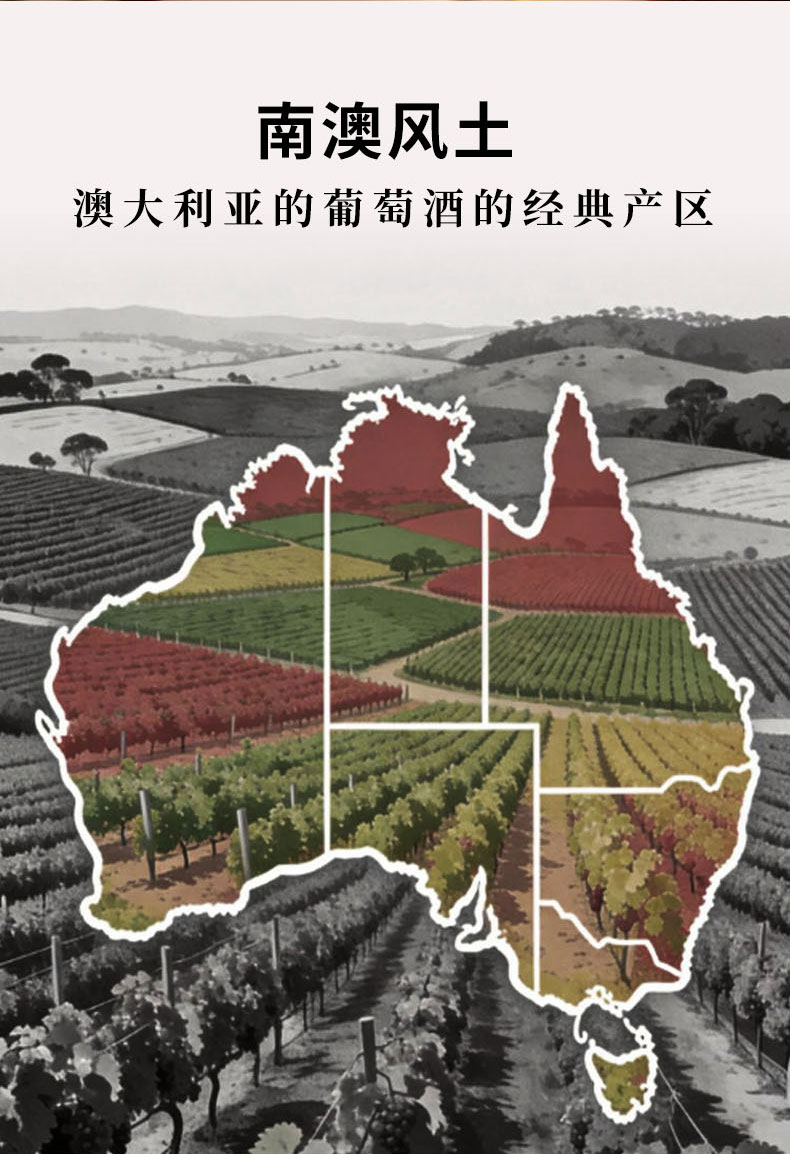 洒派金袋鼠澳洲西拉干红葡萄酒(图6)